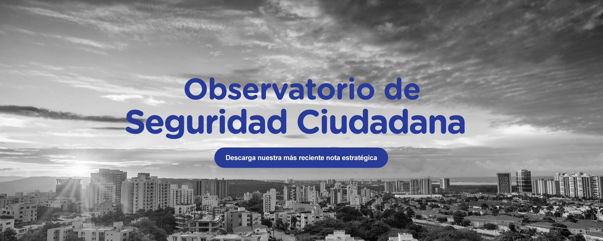 Observatorio de Seguridad Ciudadana