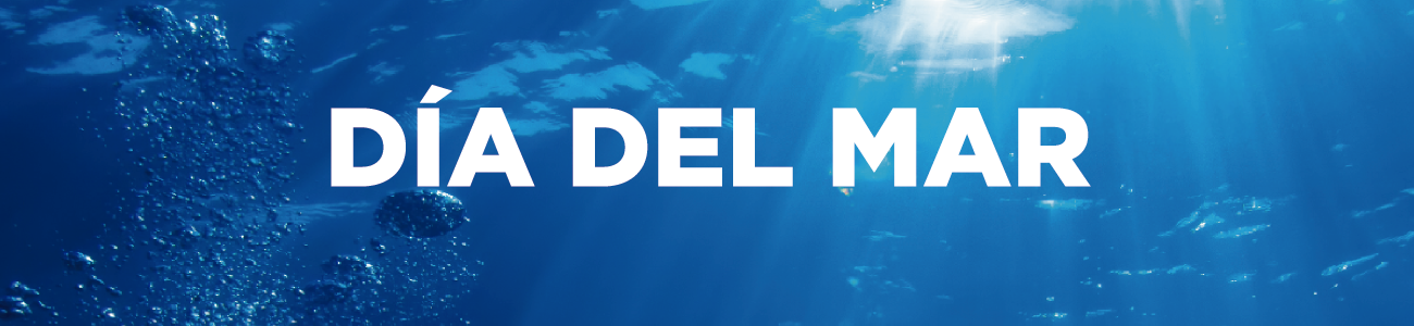 dia del mar banner