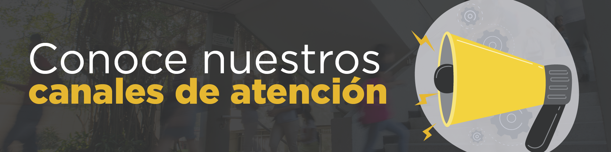 Conoce nuestros canales de atención