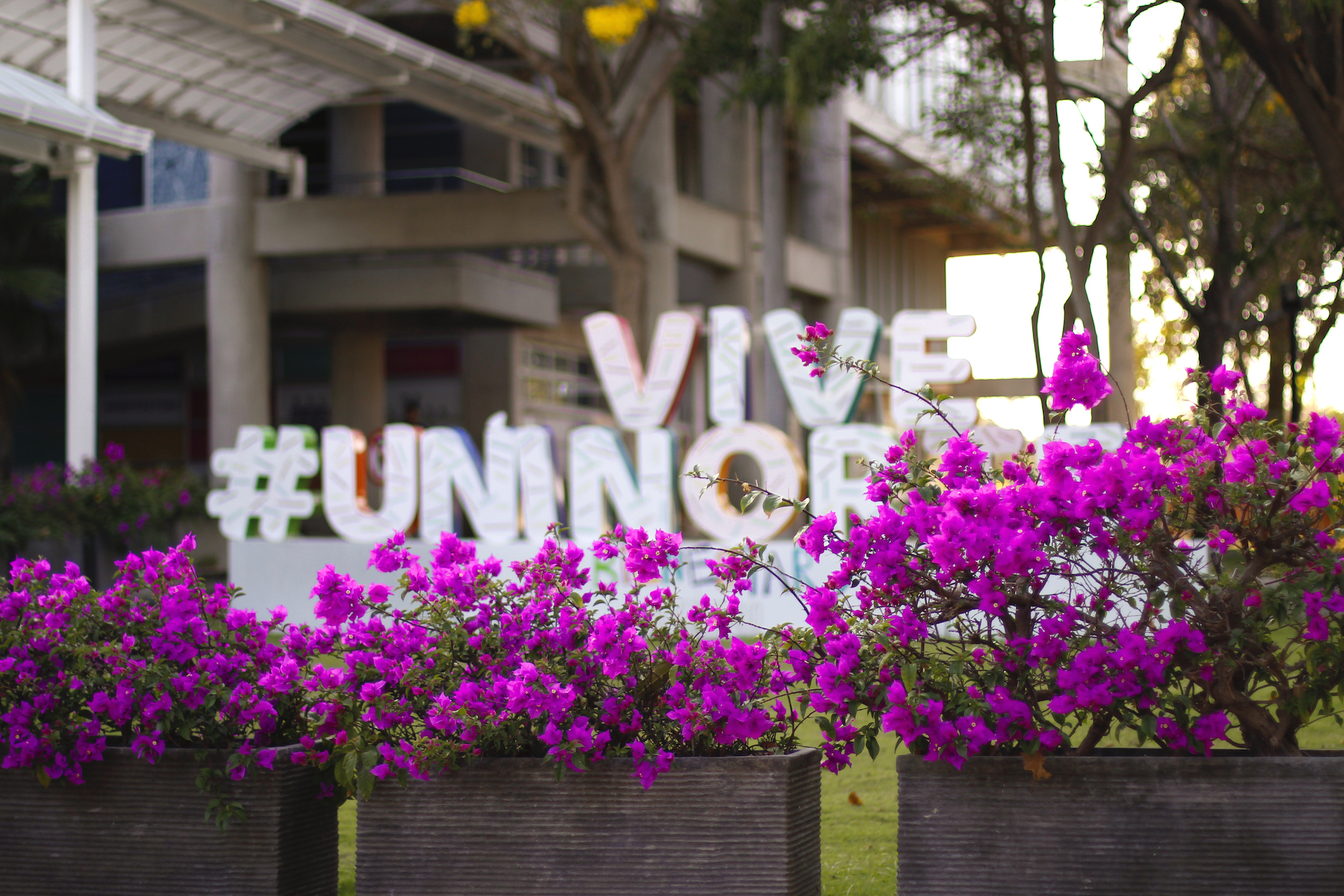 imagen campus vive uninorte