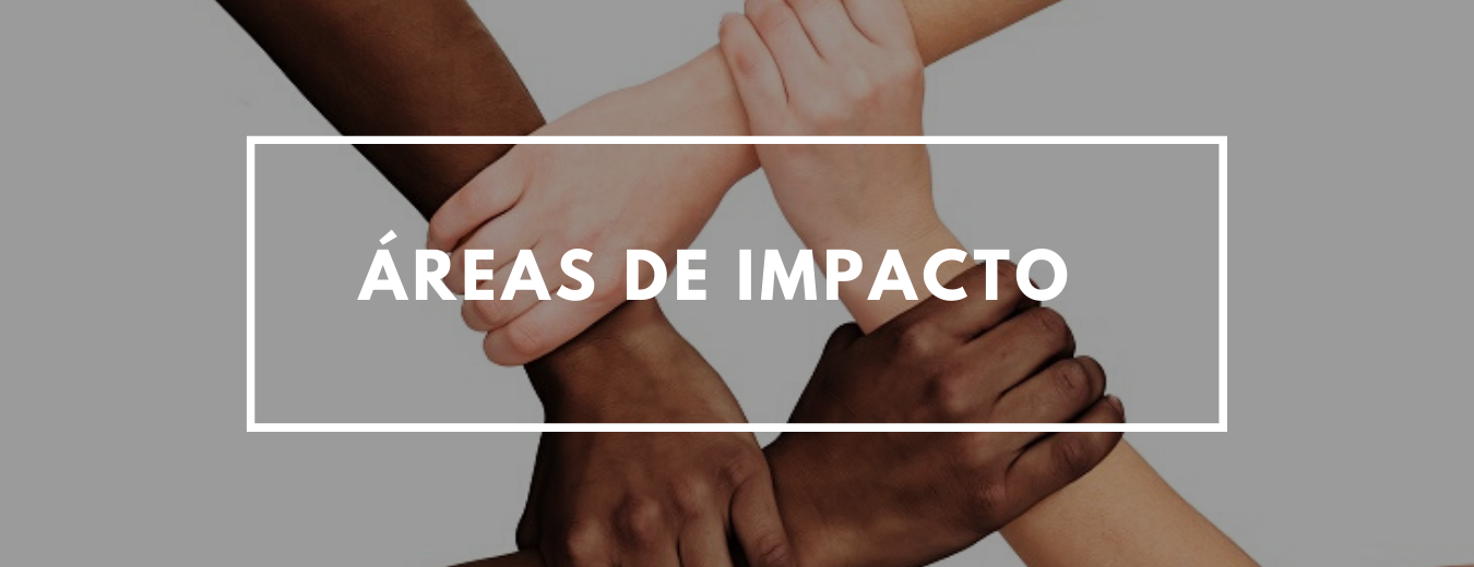 Banner Áreas de impacto