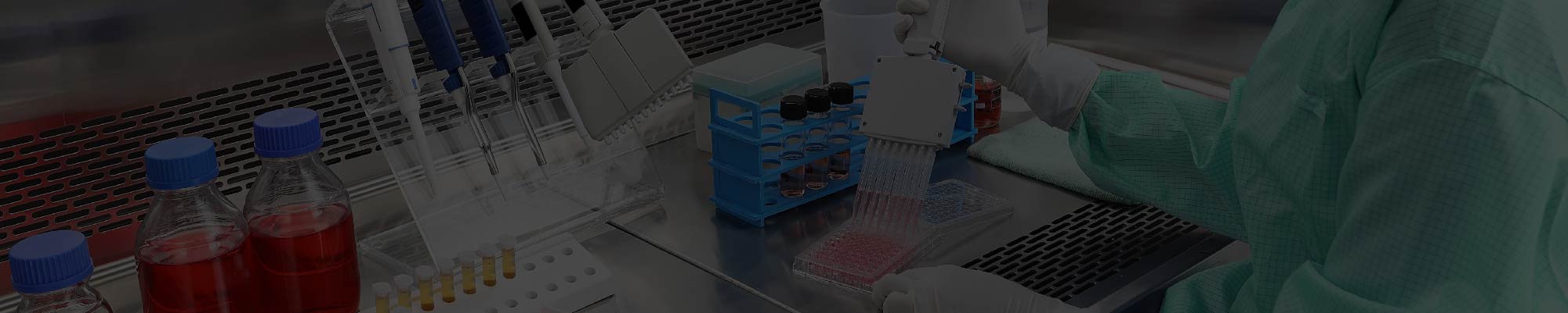 banner Grupo de Investigación en Inmunología y Biología Molecular