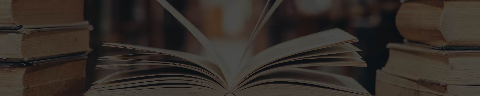 banner Grupo de investigación STUDIA