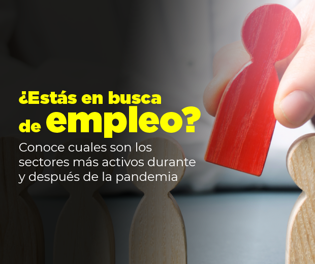 ¿Estás en busca de empleo? Conoce cuáles son los sectores más activos durante y después de la pandemia