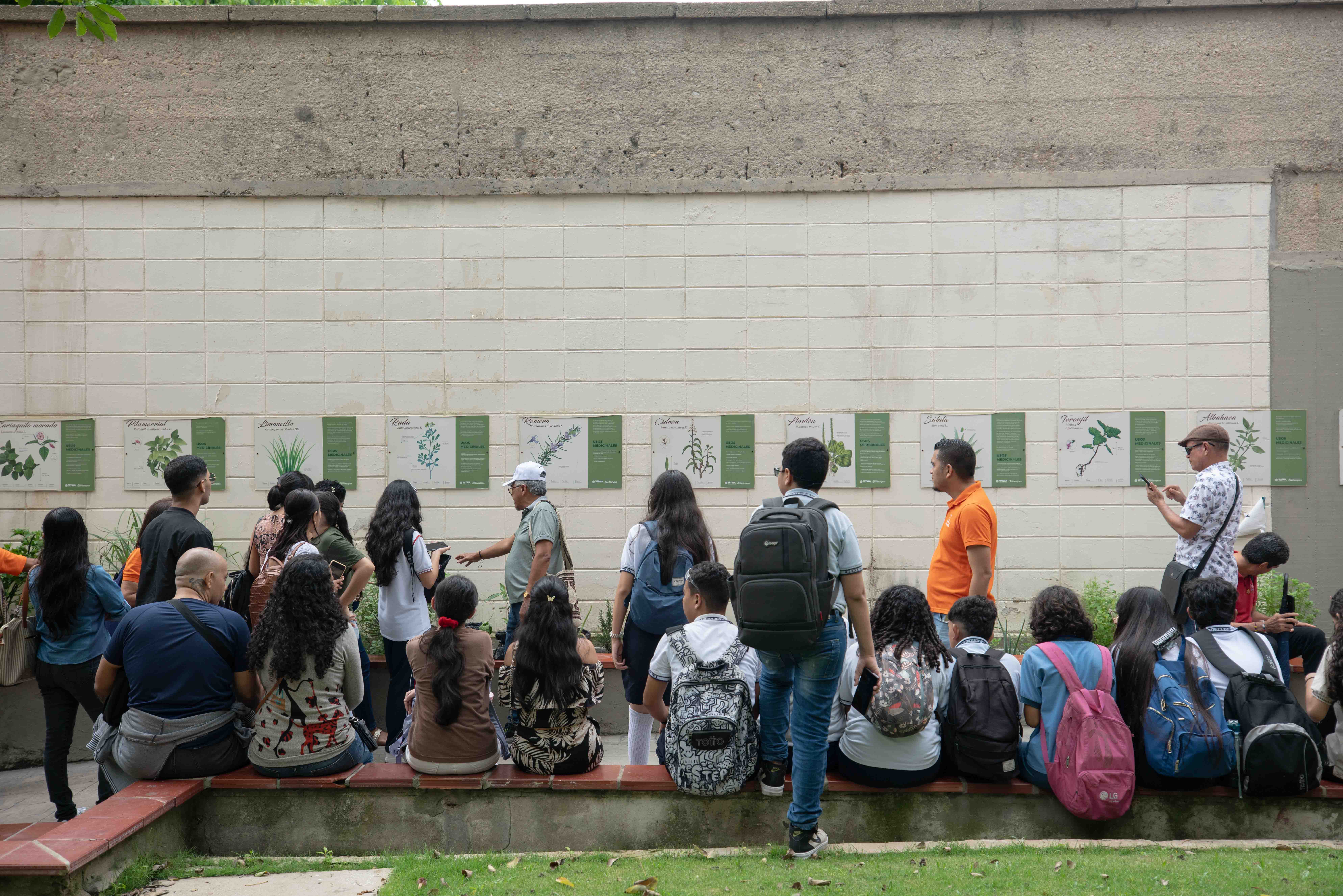 First Responsive Image