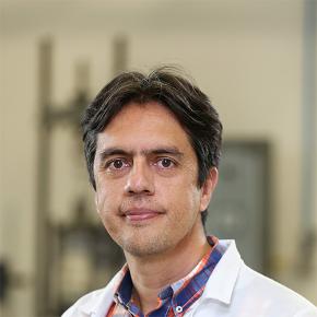 Andrés Fernando Guzmán