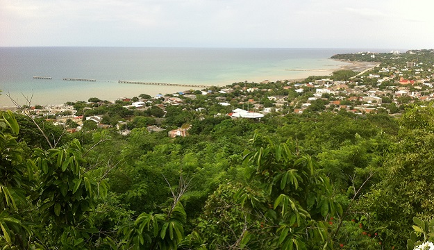 bosque-seco-barranquilla.jpeg