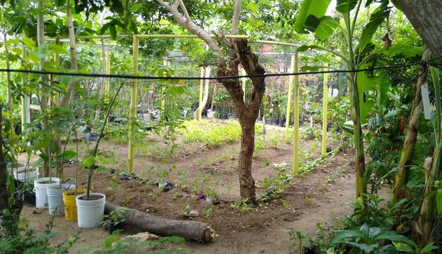 Jardin-botánico-Barrio-La-Paz2021.jpg